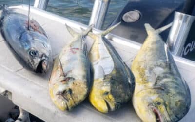 What’s in the water? Fishing with Fins and Feathers Outfitters in South Jersey