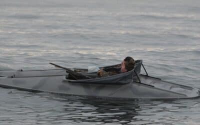 Sea Duck Hunting with Fins and Feathers Outfitters