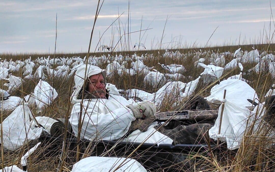 Spring snow goose hunts 2016